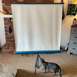 Projector screen